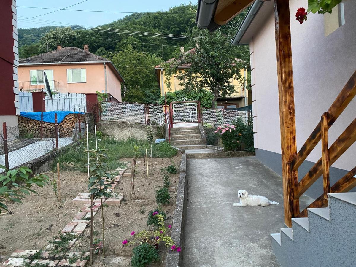 Smestaj Zeka Tekija Tekija  Exterior photo